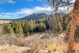  Mountain Ranch Road - Photo 12