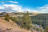  Mountain Ranch Road - Photo 13