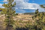  Mountain Ranch Road - Photo 14
