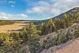  Mountain Ranch Road - Photo 16