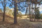  Mountain Ranch Road - Photo 17