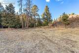  Mountain Ranch Road - Photo 3
