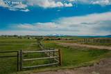 15958 Shadow Mountain Ranch Road - Photo 13
