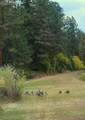 14885 Lodge Drive - Photo 24