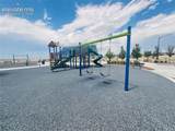 1910 Cuchara Drive - Photo 41