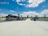 1910 Cuchara Drive - Photo 44