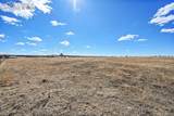 Lot 3 Alpaca Heights - Photo 32