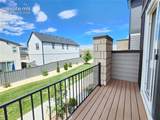 6844 Lily Mountain Lane - Photo 12