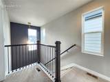6844 Lily Mountain Lane - Photo 35