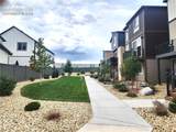 6844 Lily Mountain Lane - Photo 45