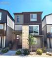 6844 Lily Mountain Lane - Photo 46