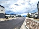 6844 Lily Mountain Lane - Photo 48