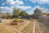 3625 Anemone Circle - Photo 17