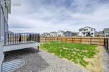 6967 Akela Lane - Photo 39