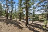 272 Spring Valley Trail - Photo 29