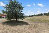 272 Spring Valley Trail - Photo 34