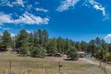 272 Spring Valley Trail - Photo 36