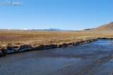 1198 Chase Gulch Road - Photo 15