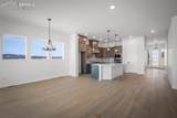 17258 Alsike Clover Court - Photo 5