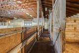16685 Roller Coaster Road - Photo 39