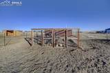 1416 Spotted Owl Way - Photo 30