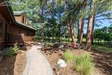 17220 Shiloh Pines Drive - Photo 6