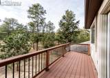 10916 Silver Mountain Point - Photo 43