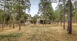 10916 Silver Mountain Point - Photo 46