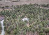 10916 Silver Mountain Point - Photo 49