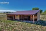 14150 Teleo Court - Photo 43