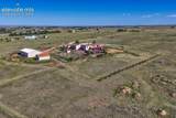 14150 Teleo Court - Photo 46