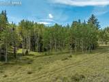 284 County Road 511 Road - Photo 42