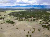 2793 Black Fawn Lane - Photo 28