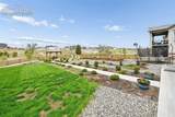 9776 Antelope Ravine Drive - Photo 49