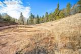 213 Willow Road - Photo 41
