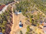 213 Willow Road - Photo 49
