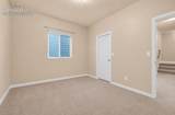 11558 Farnese Heights - Photo 15