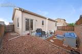 11558 Farnese Heights - Photo 17