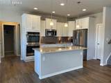 8442 Noreen Falls Drive - Photo 4