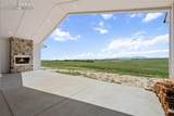 24365 Murphy Road - Photo 44
