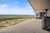 24365 Murphy Road - Photo 45