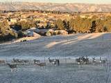 17160 Timber Meadow Drive - Photo 46