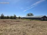 11435 Falcon Highway - Photo 6