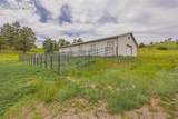 430 Tallahassee Trail - Photo 35