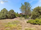 1165 Calle Antigua Street - Photo 19