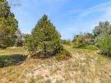 1165 Calle Antigua Street - Photo 20