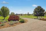 605 Alton Way - Photo 34