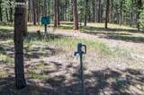 10775 Hardy Road - Photo 13
