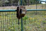 10775 Hardy Road - Photo 16