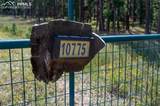 10775 Hardy Road - Photo 17